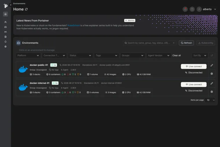 Portainer dashboard listing the Docker environments and their containers